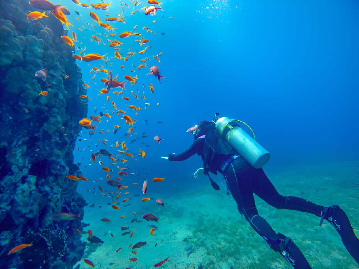 Certified dive guide deploying a non-invasive camera rig over a reef